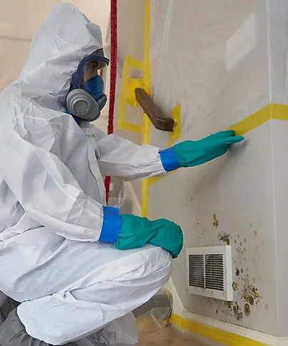 Najera Environmental Inc - 1 Stop Restoration